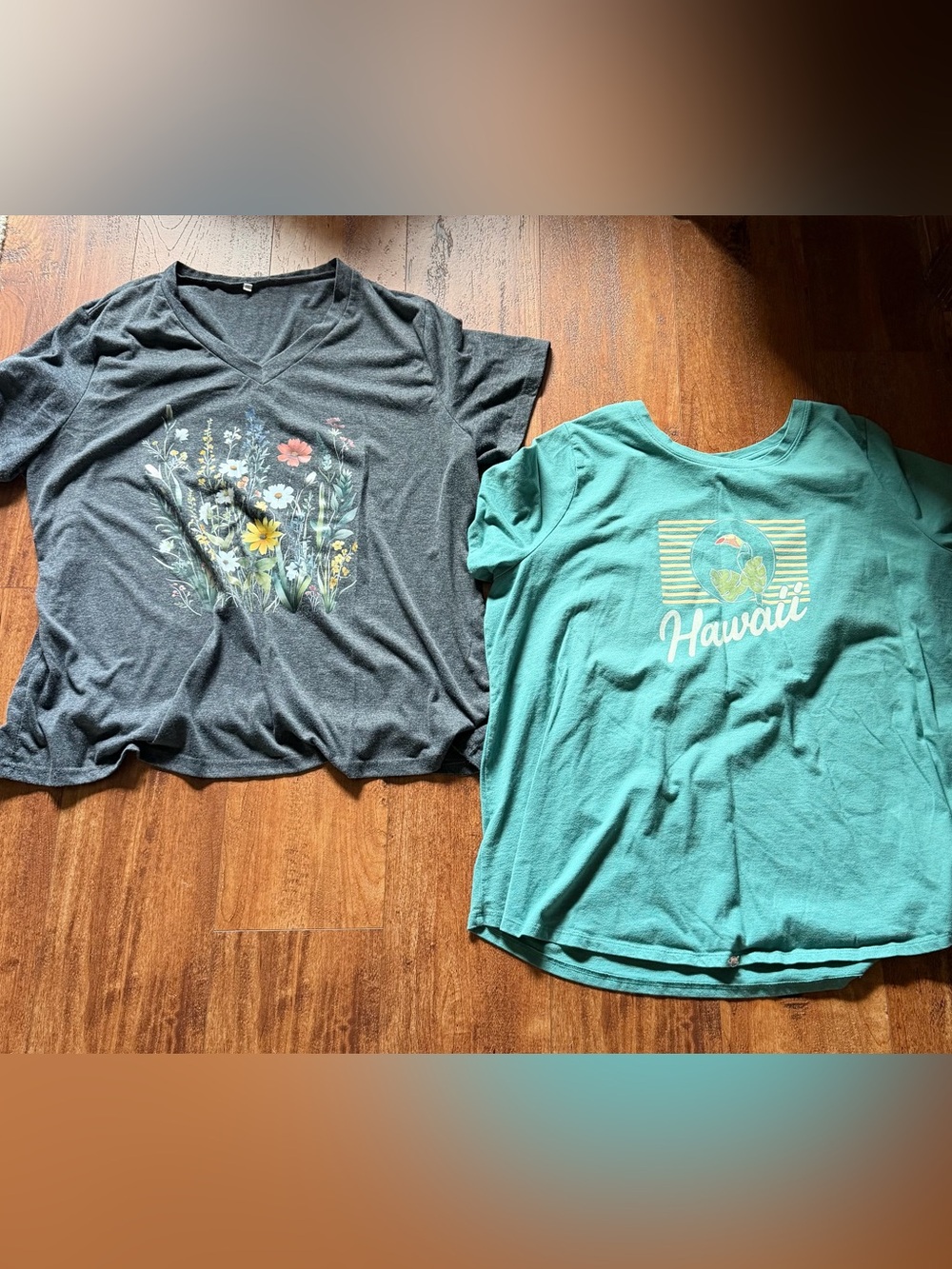 Lot of 2 Women’s Size 2X Tshirts